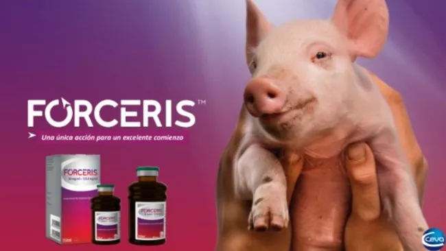 Forceris™: mayor biodisponibilidad del hierro para el control de la anemia ferropénica en el lechón