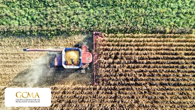 Importaciones de granos y oleaginosas 2025 cierran en récord histórico; México profundiza su dependencia externa