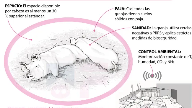 Infografía: Happy tail