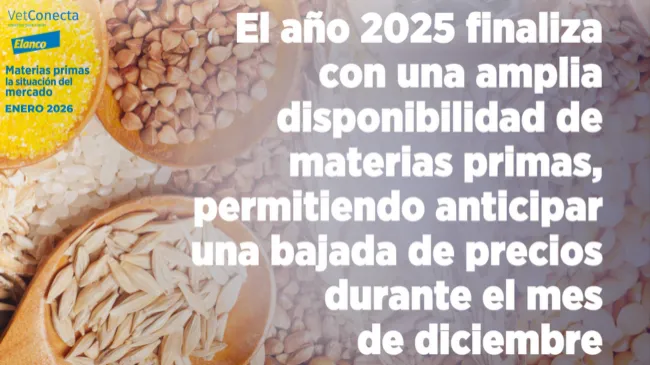 Materias primas - La situación del mercado en enero 2026