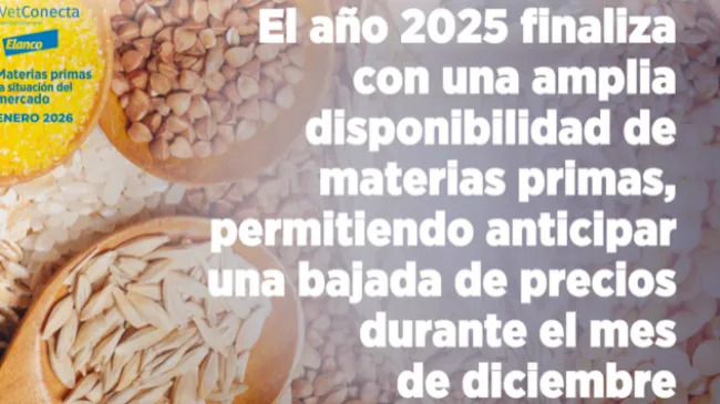 Matérias-primas - Situação do mercado em janeiro de 2026