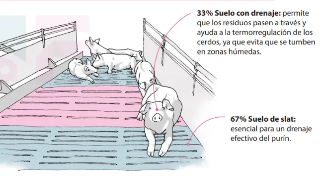 Infografía: Suelos con drenaje
