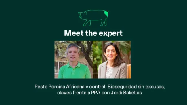 Peste Porcina Africana y control: Bioseguridad sin excusas, claves frente a PPA con Jordi Baliellas