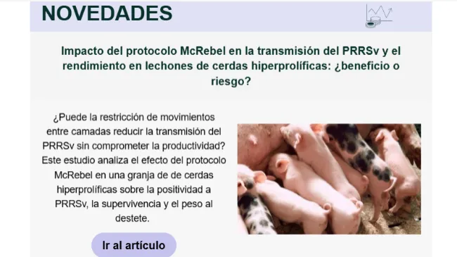 Impacto del protocolo McRebel en la transmisión del PRRSv y el rendimiento en lechones de cerdas hiperprolíficas: ¿beneficio o riesgo?