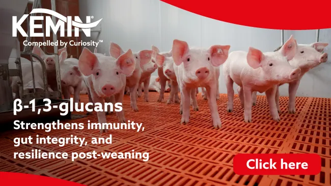 Bridging the gap to post weaning immunity with algae Beta Glucans