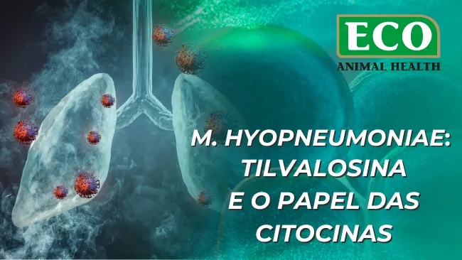 Mycoplasma hyopneumoniae: tilvalosina e o papel das citocinas