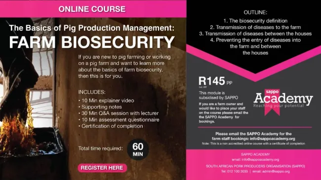 In the midst of the disease outbreaks, learn how to prevent entry of d...