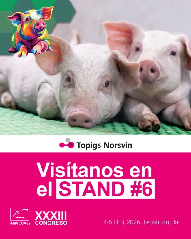 Te esperamos en el XXXII Congreso AMVECAJ 2026.