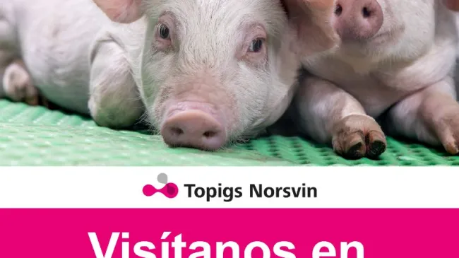 Te esperamos en el XXXII Congreso AMVECAJ 2026.