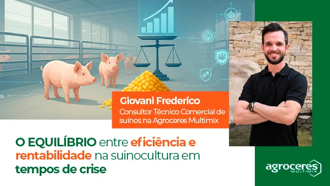 O equilíbrio entre eficiência e rentabilidade na suinocultura em tempos de crise