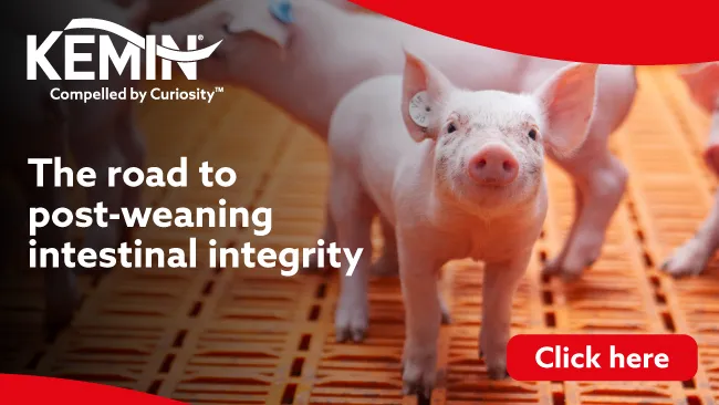 The road to post-weaning intestinal integrity