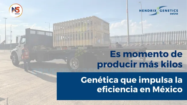 Es momento de producir más kilos: Genética que impulsa la eficiencia en México