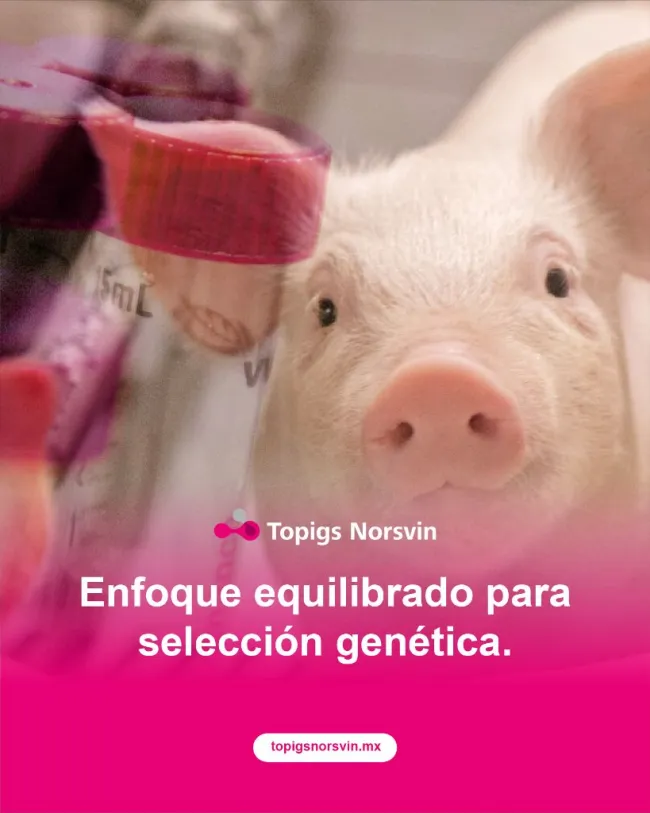 Topigs Norsvin reafirma su compromiso con una selección genética nat...