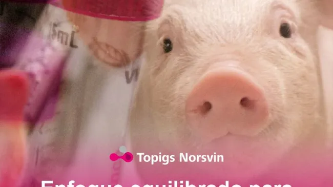 Topigs Norsvin reafirma su compromiso con una selección genética nat...