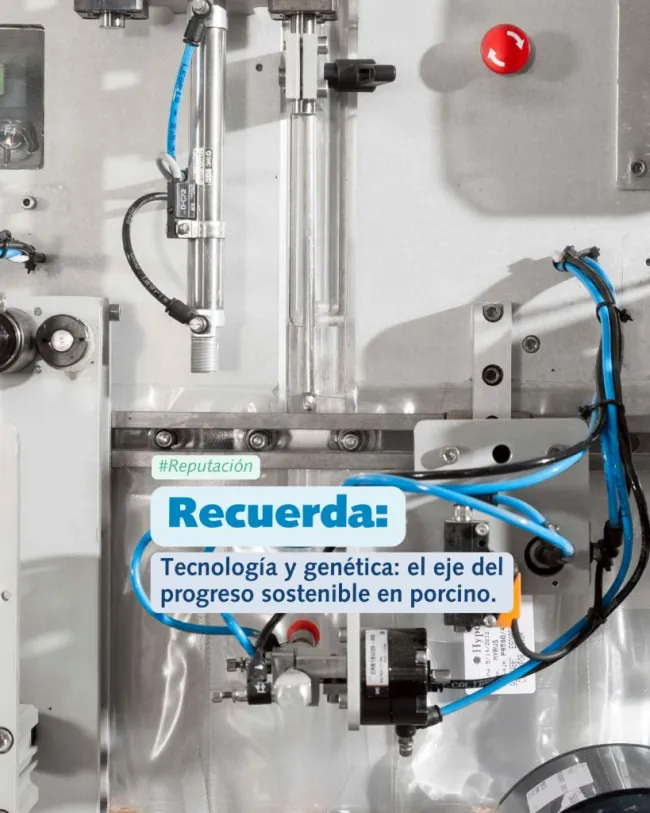 En Hendrix Genetics Swine SE, entendemos que la sostenibilidad real no...
