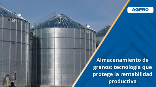 Almacenamiento de granos eficiente: un pilar estratégico para la productividad pecuaria moderna