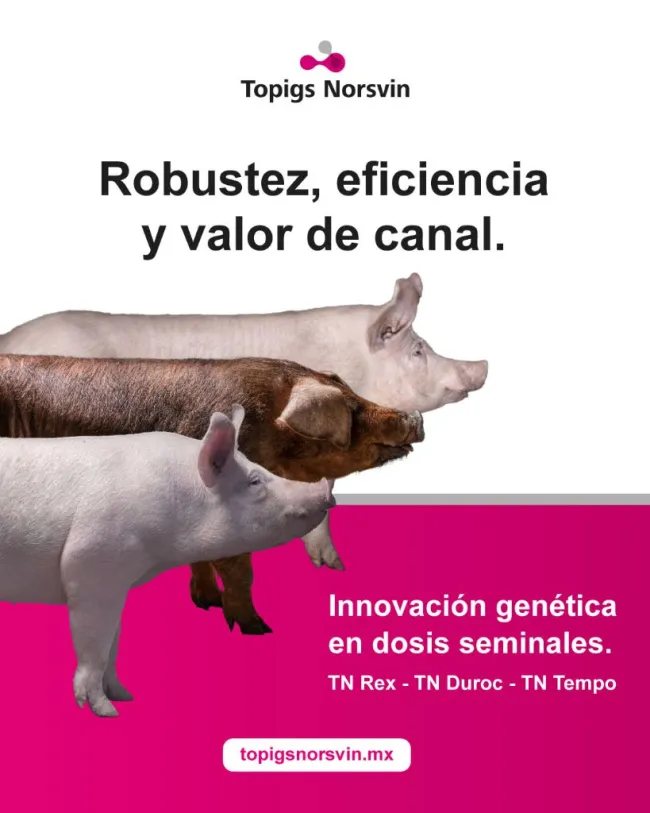 Nuestros machos terminales están diseñados para aportar robustez, ef...
