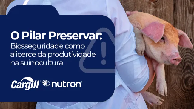 O Pilar Preservar: biosseguridade como alicerce da produtividade na suinocultura