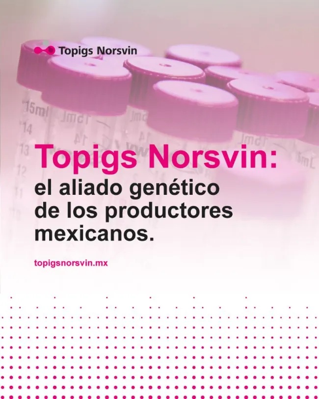 En Topigs Norsvin impulsamos la porcicultura moderna a través de gen�...