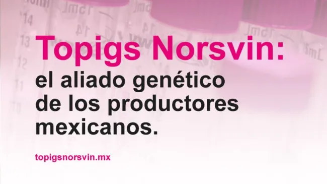 En Topigs Norsvin impulsamos la porcicultura moderna a través de gen�...