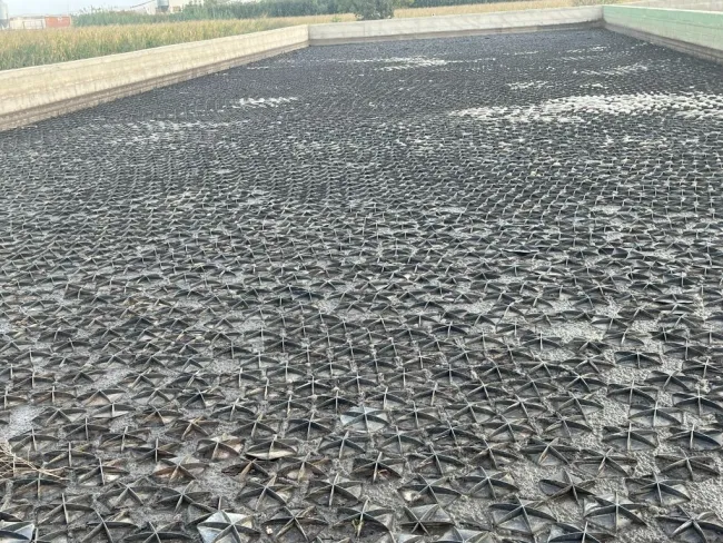 Nueva instalación de Hexa-Cover en una balsa de purines de 1000 m2 de...