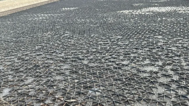 Nueva instalación de Hexa-Cover en una balsa de purines de 1000 m2 de...
