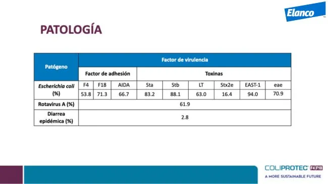 Começamos com a auditoria passo a passo da exploração agrícola par...