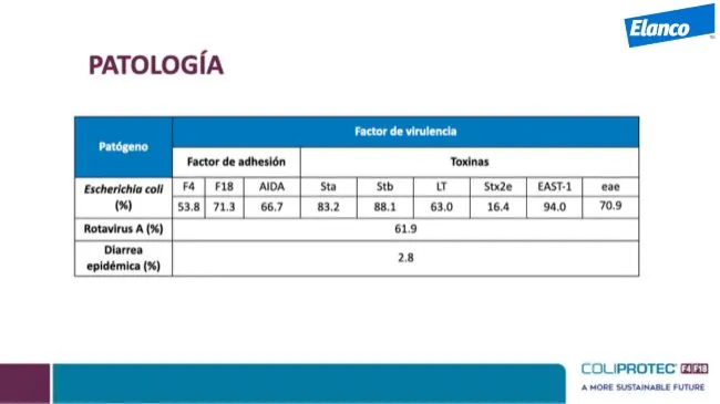 Arrancamos con el paso a paso de la auditoría en granja para analizar...