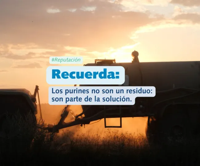 En el contexto actual, donde la sostenibilidad y la eficiencia de recu...