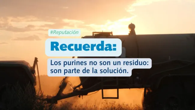 En el contexto actual, donde la sostenibilidad y la eficiencia de recu...