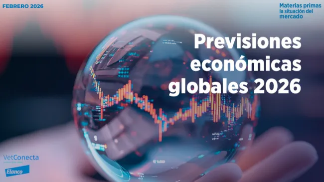 Matérias-primas - Situação do mercado em fevereiro de 2026