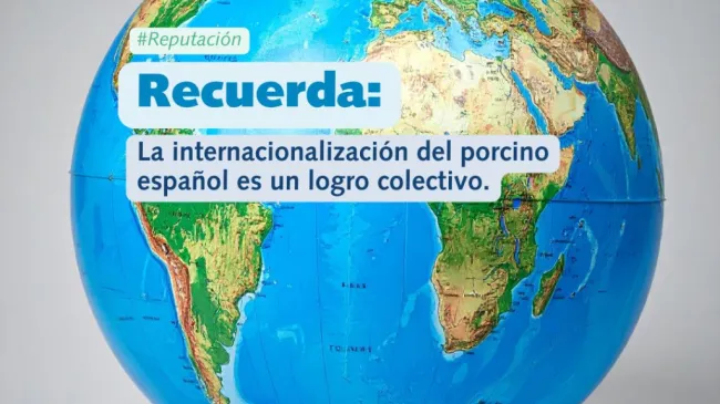 Según @interporc, los productos de porcino de capa blanca de España ...