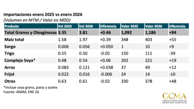 Se disparan importaciones de maíz y sorgo al inicio de 2026; presión sobre precios en el Bajío, Chihuahua y zonas frijoleras