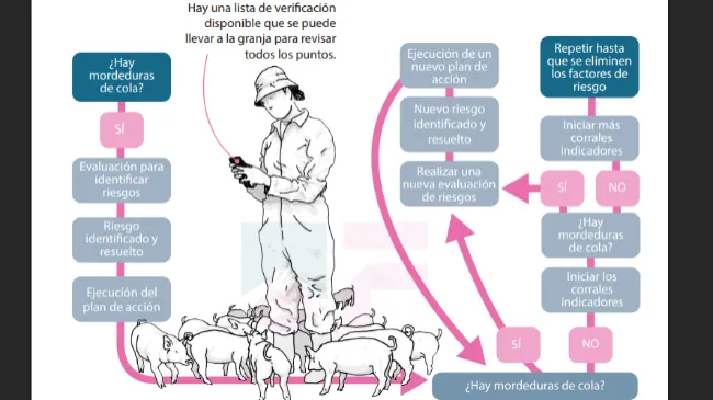 Infografía: Herramienta de evaluación de riesgos y corrales indicadores