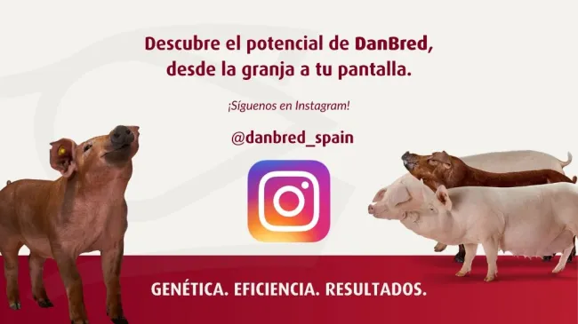 ¡Síguenos en Instagram!