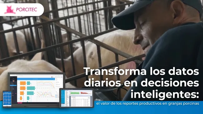 El valor de los reportes productivos en la toma de decisiones en una granja