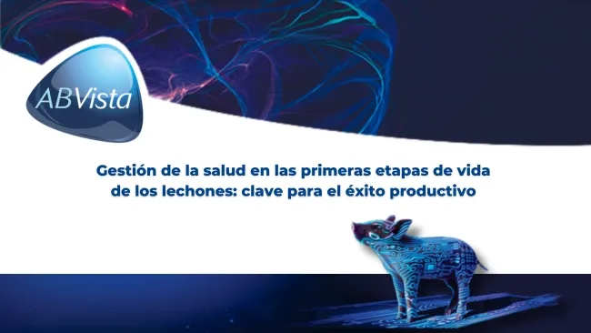 Gestión de la salud en las primeras etapas de vida de los lechones: clave para el éxito productivo 