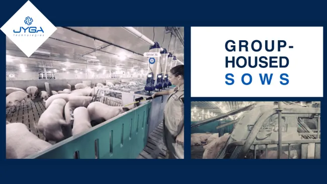 How to Maximize Value and Avoid Pitfalls When Transitioning Your Operation to Group Housing.