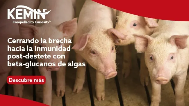 Cerrando la brecha hacia la inmunidad post‑destete con beta‑glucanos de algas