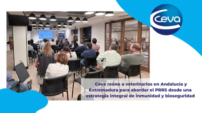 Ceva reúne a veterinarios en Andalucía y Extremadura para abordar el PRRS desde una estrategia integral de inmunidad y bioseguridad