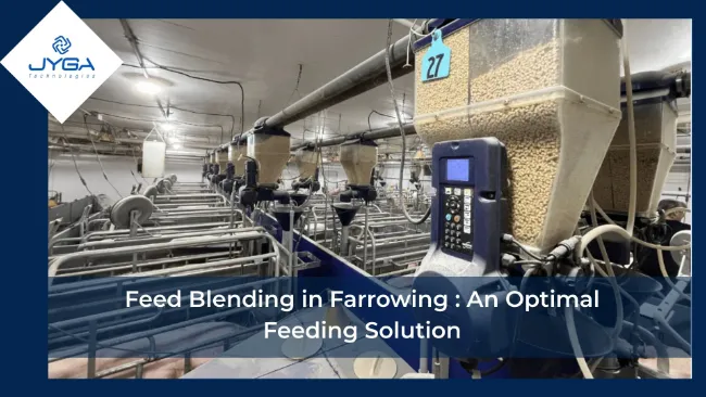 Feed Blending in Farrowing : An Optimal Feeding Solution