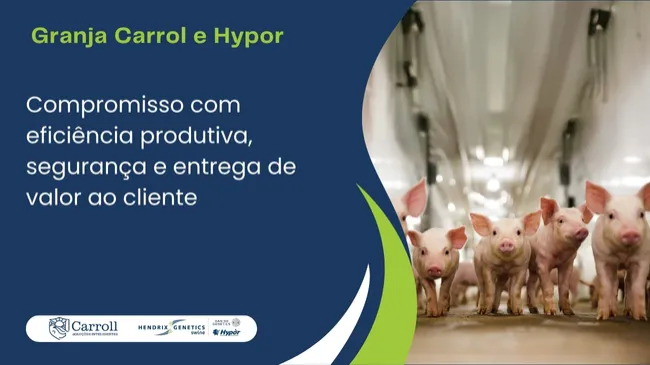 Granja Carrol e Hypor: Compromisso com eficiência produtiva, segurança e entrega de valor ao cliente