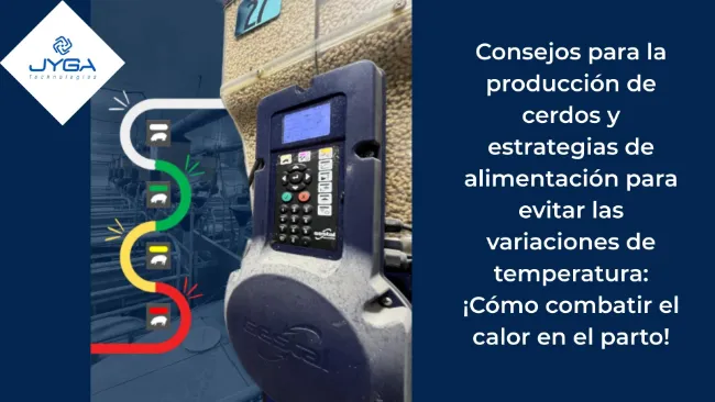 Consejos para la producción de cerdos y estrategias de alimentación para evitar las variaciones de temperatura: ¡Cómo combatir el calor en el parto!