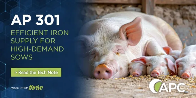 Iron supply is not just about inclusion — it’s about utilization. ...