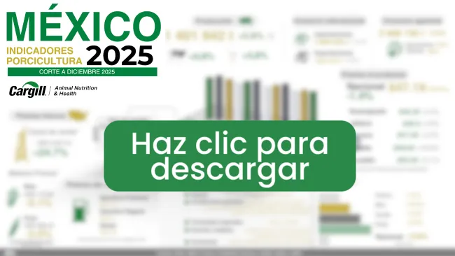 México cierra 2025 con récord en producción porcina y mayor consumo interno