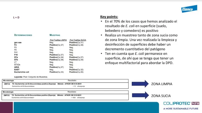 Limpeza e desinfeção....