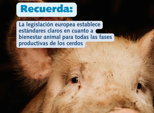 🔍 Bienestar animal: de la normativa a la genética.