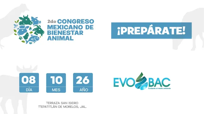 Rumbo al COMEBA 2026: ciclo de conferencias en línea sobre bienestar animal