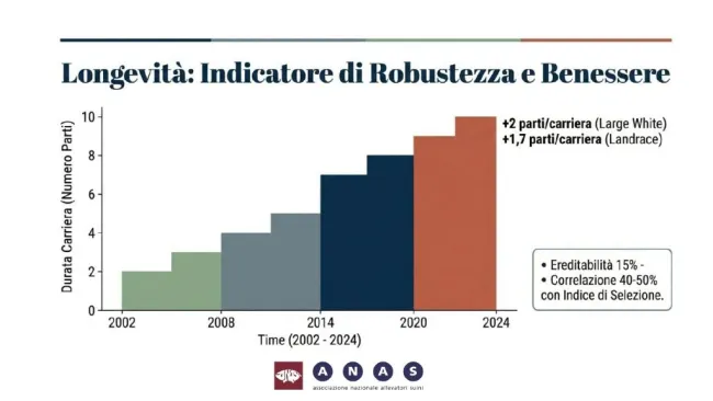 Vuoi Longevità, robustezza e benessere? Scegli ANAS! Guarda i nostri ...