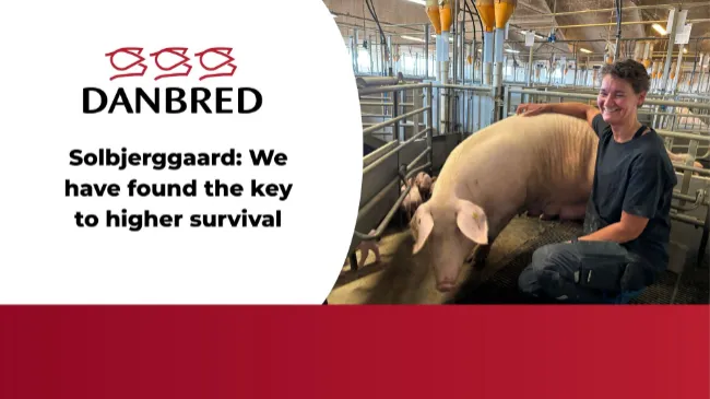 Solbjerggaard: We have found the key to higher survival